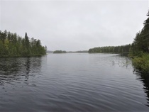 Uimaan